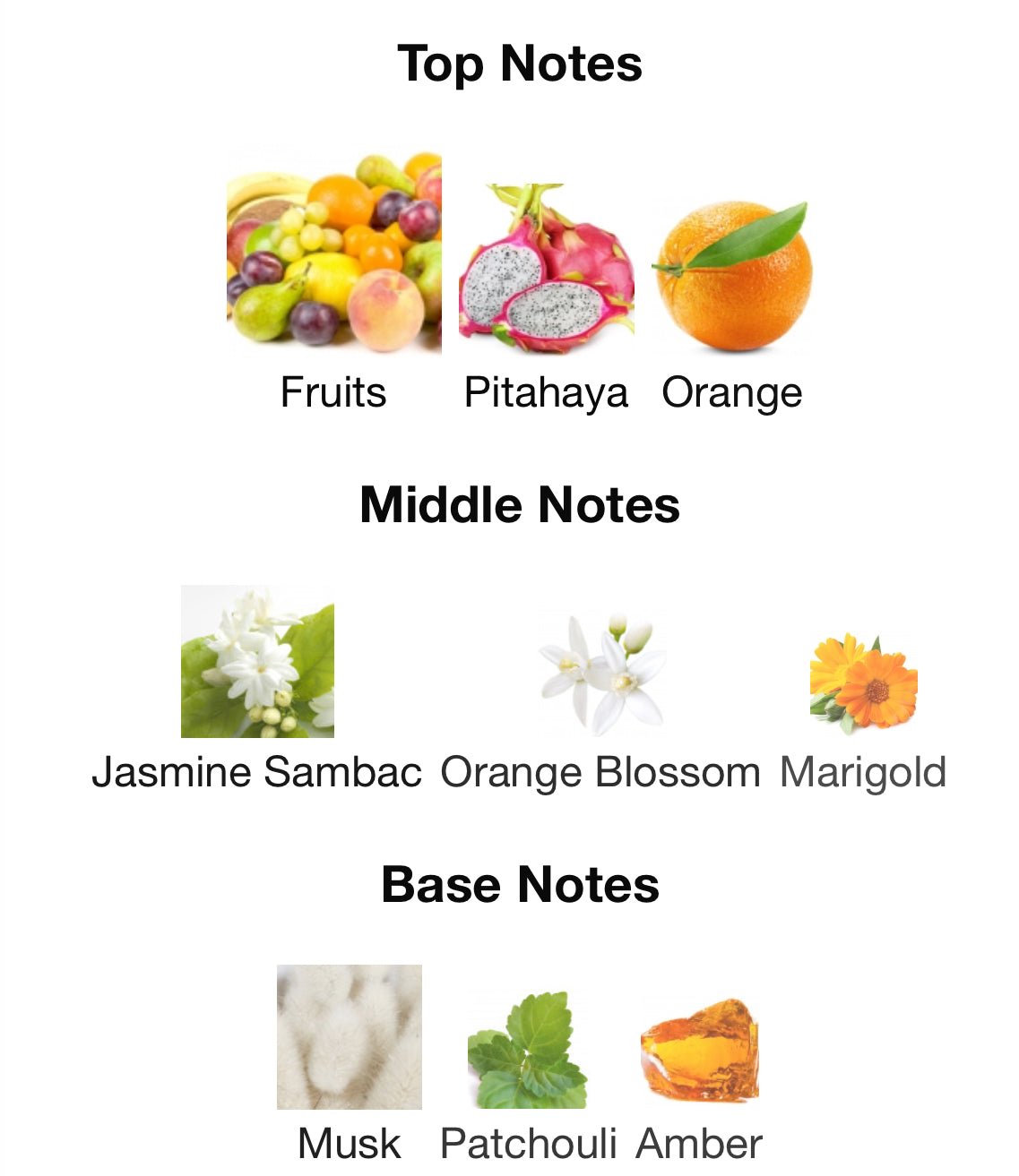 PHLUR Mood Ring EDP Eau De Parfum Samples