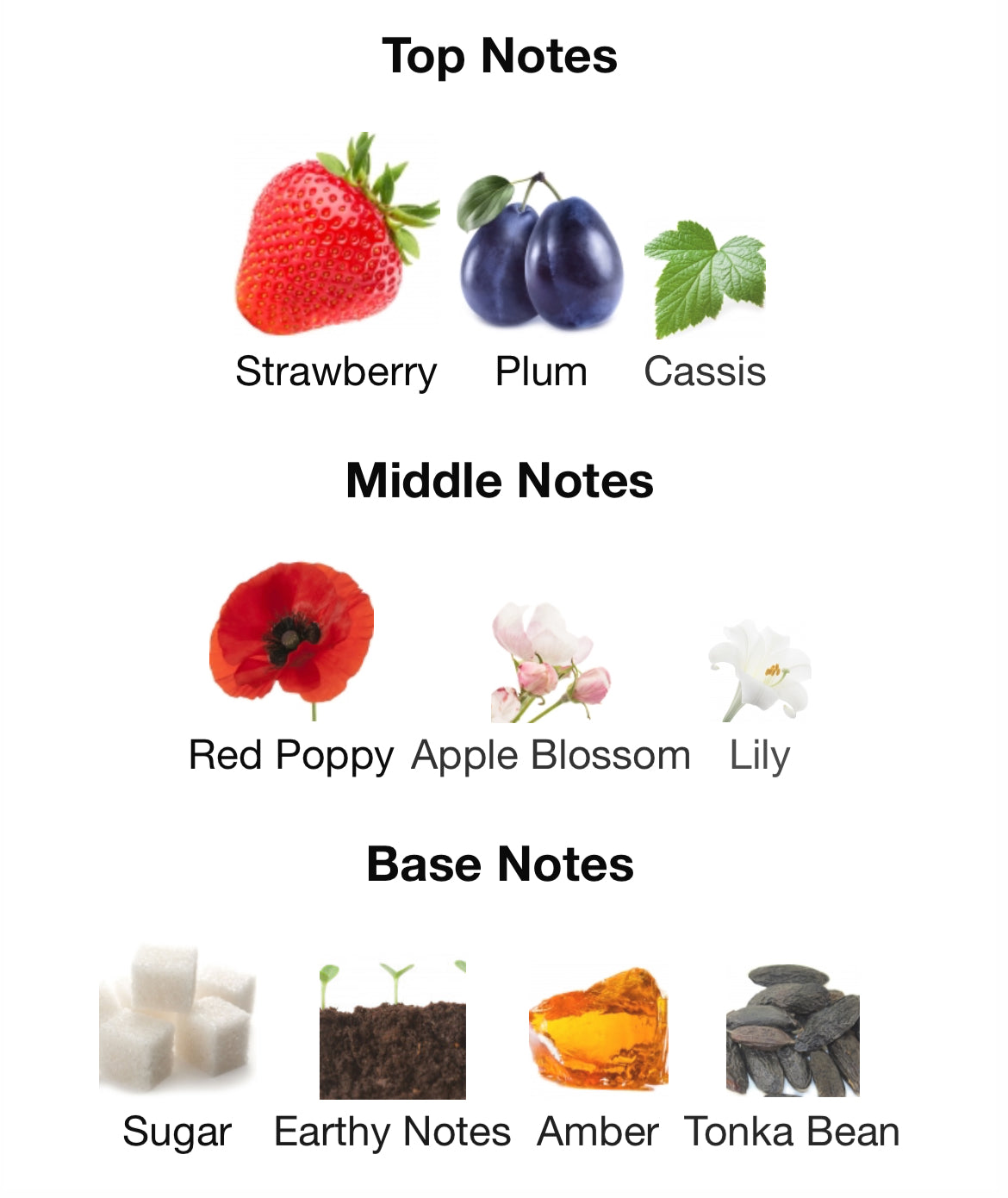 PHLUR Strawberry Letter NEW RELEASE 2024!! EDP Eau De Parfum Samples